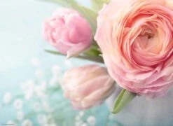 Tischsets I Platzsets "Rosa Rosen" (L)32 X (B)44